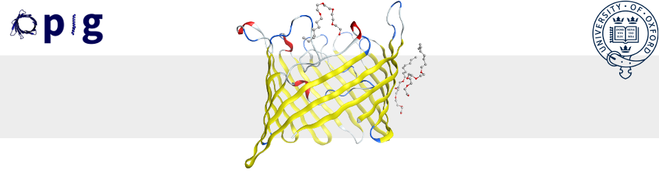 Oxford Protein Informatics Group